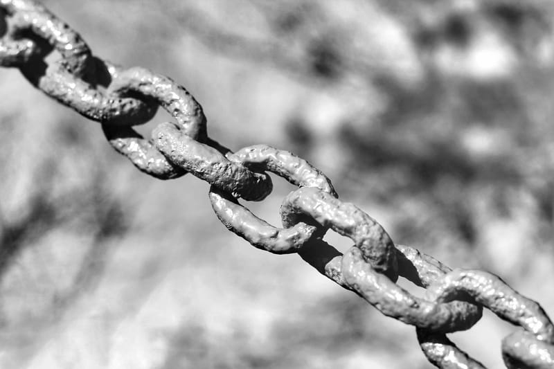 The Importance of Backlinks for Website SEO featured image